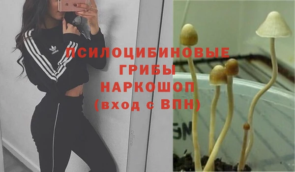 кристаллы Алзамай