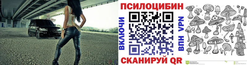 купить  сайты  mega tor  Галлюциногенные грибы Psilocybine cubensis  Дудинка 
